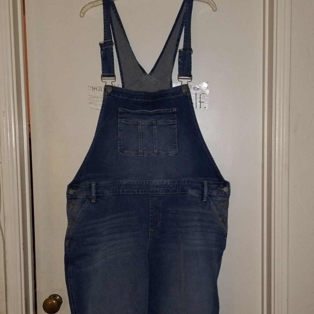 Torrid overalls